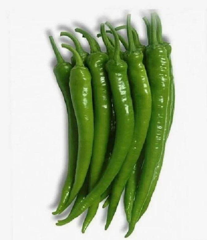 Biberleri taptaze tutuyor. Aylarca çürümüyor ve küflenmiyor - Resim: 25